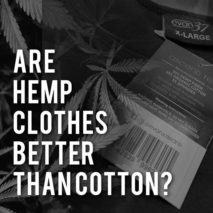 Are Hemp Clothes Better than Cotton?