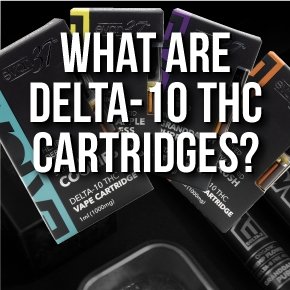 What are Delta-10 Carts?